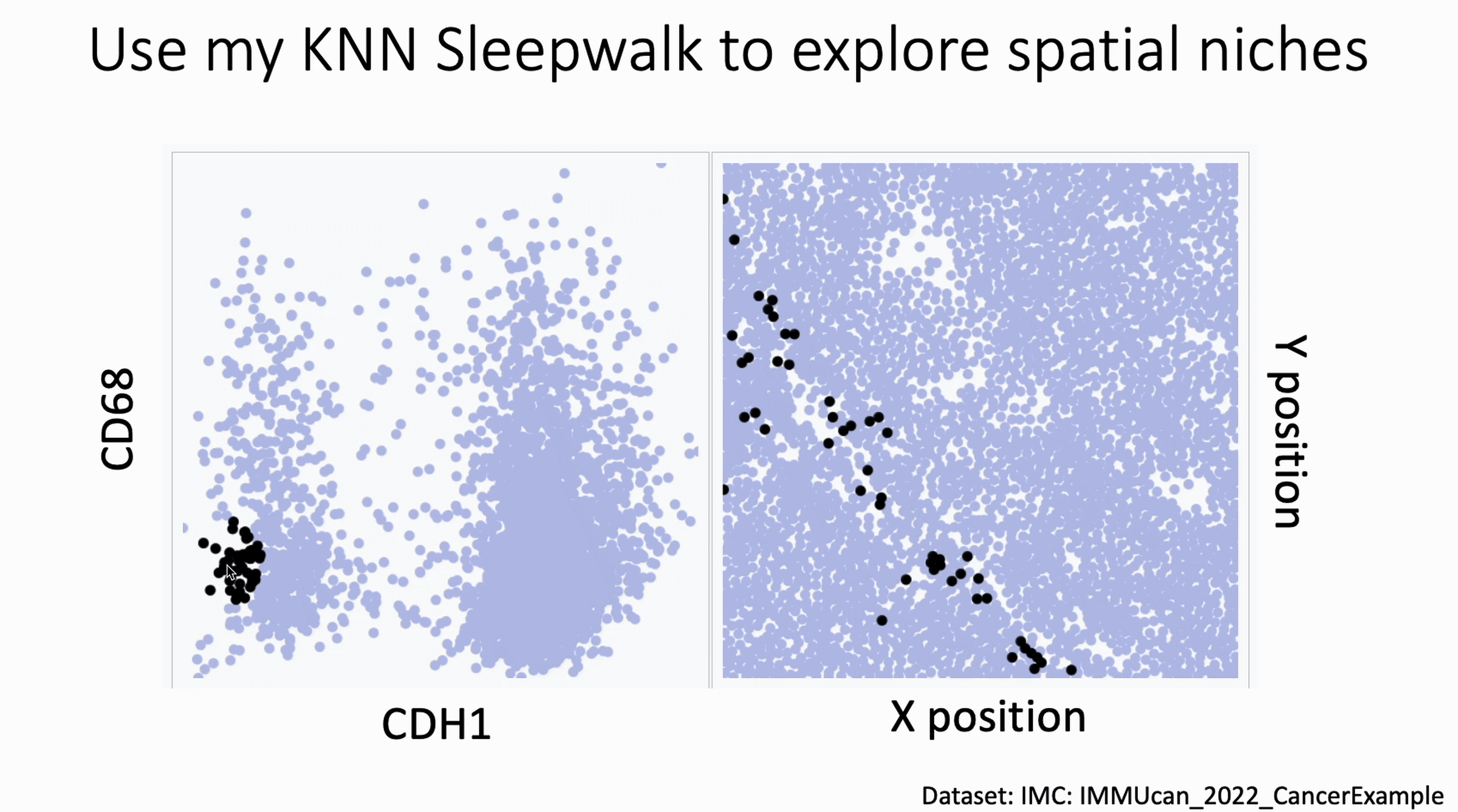 cdh1_cd68_imc_pt5_ppt.gif