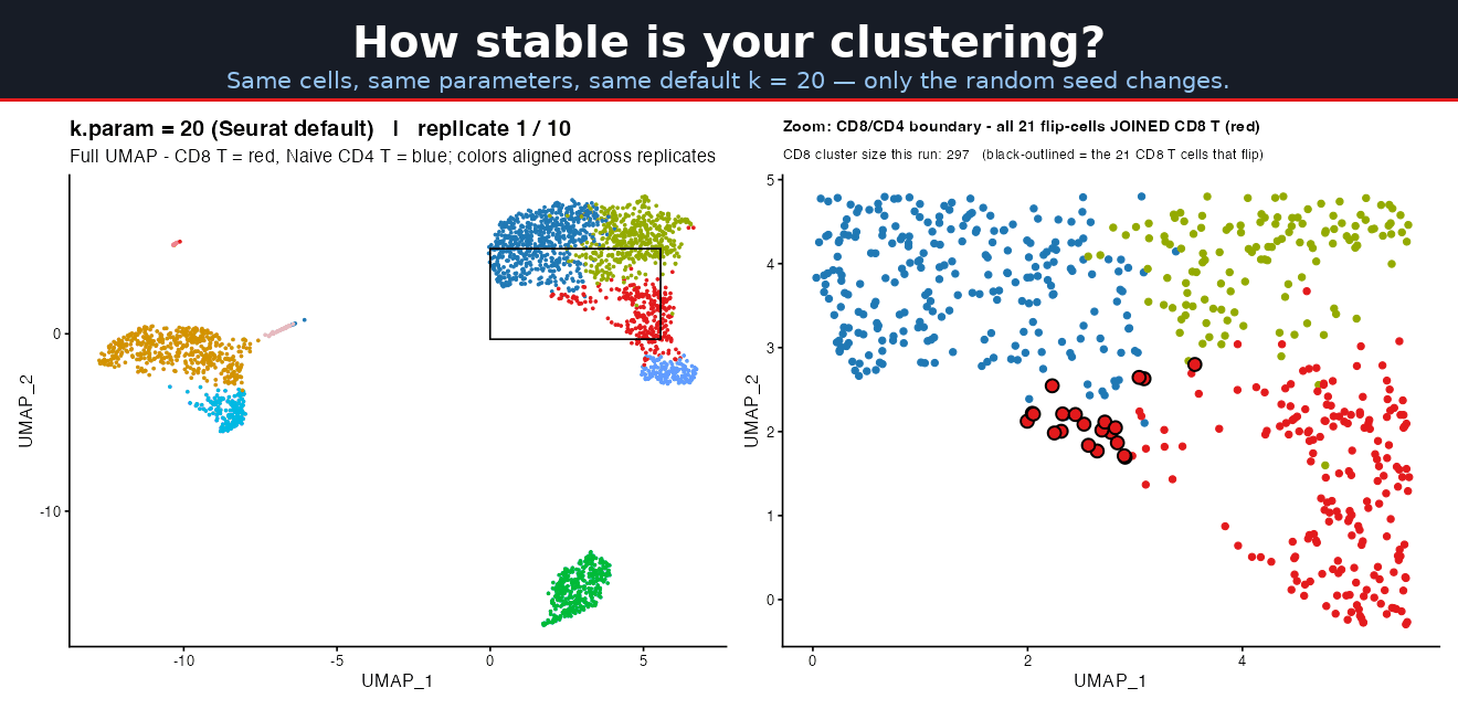 cluster_stability_claude_science.gif