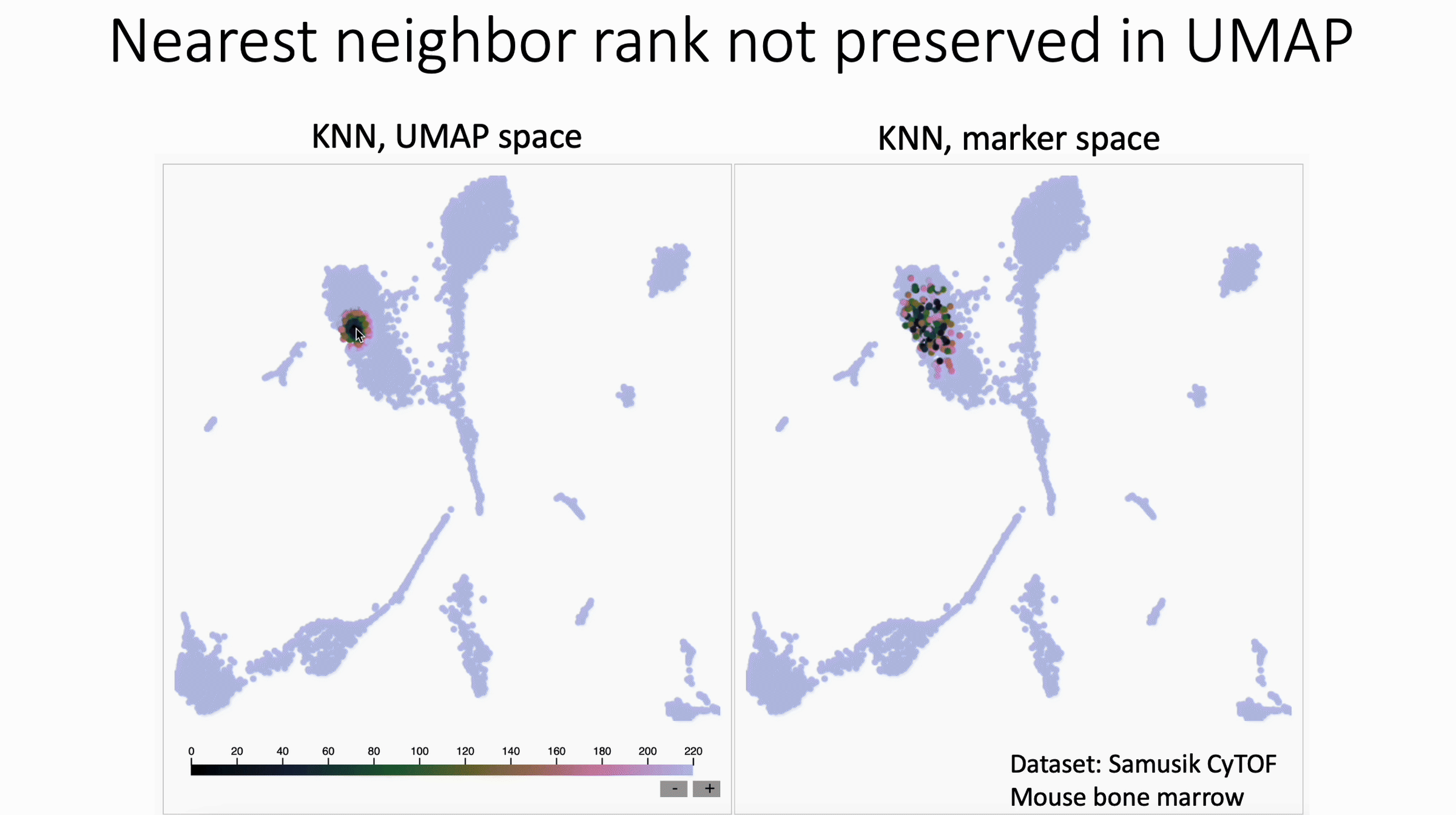 knn_sleepwalk_with_ranks_ppt.gif