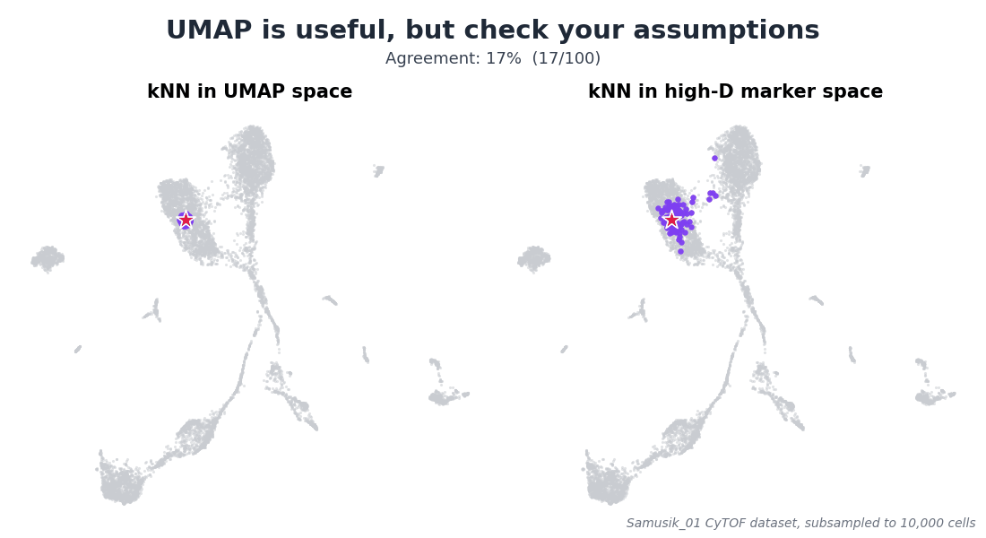 knn_to_kfn_raw10k_umap_8876_6994_6557.gif