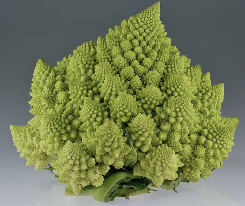 romanesco_broccoli.jpeg