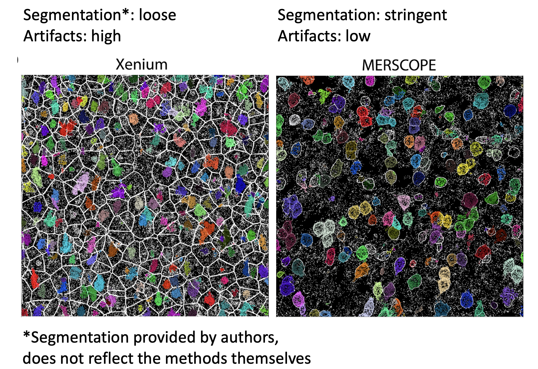 segmentation_size.png